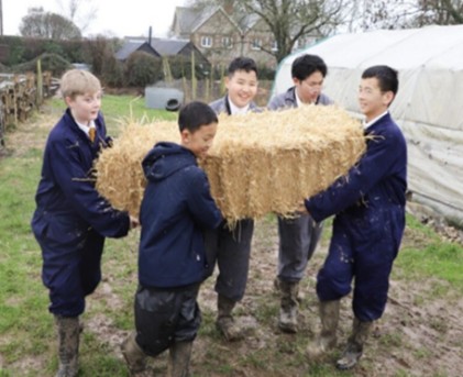 Horticulture and animal care at The Farm